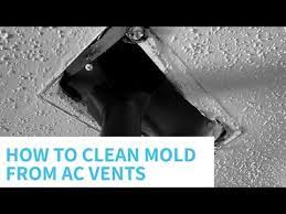 The fans are what are in charge of actually bringing air into the unit, so make sure you clear away any dirt, debris, or leaves. How To Clean Mold From Hvac Vents Youtube