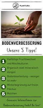 Bodenverbesserung Tipps Um Den Gartenboden Zu Verbessern Gartenboden Gartenerde Tipps
