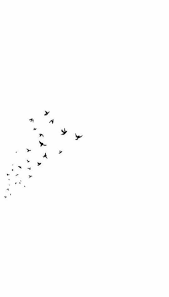 Pin By Potterhead On Fondos De Pantalla White Wallpaper For Iphone Iphone Wallpaper Iphone Wallpaper Pinterest