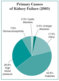 Educating yourself and preparing yourself, just the smallest bit. Diabetes And Kidney Disease Read About Symptoms And Stages