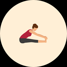Paschimottanasana Seated Forward Fold Yoga Alignment Guide