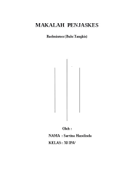 Maybe you would like to learn more about one of these? Contoh Makalah Penjaskes Bulu Tangkis Badminton