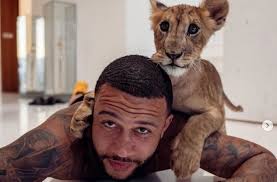 Verwende den umschalter um die depay preis änderung für heute, für eine woche, für einen monat, für ein jahr. Memphis Depay Von Tierrechtsgruppen Gepinnt Nach Welt