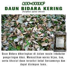 Ambil daun bidara pucuknya yang masih muda agar masih ada rasa seger asem asemnya. Asy Syifa Daun Bidara Arab Kering Hijau Untuk Ruqyah Shopee Malaysia