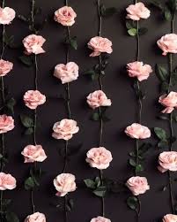 Click on image to view plant details. Get Inspired For Pink Black Wallpaper For Girls Phone Pictures
