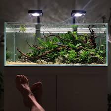 Pin On Aquarium