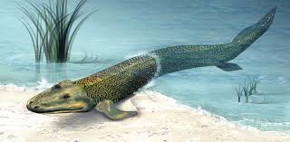 Maybe you would like to learn more about one of these? Tiktaalik Know Your Meme