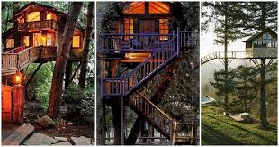 Plus, many tree houses are near great trails and mountains for hiking and biking. The 21 Most Incredible Tree Houses On Instagram Mpora