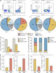 Two Alternate Strategies For Innate Immunity To Epstein Barr