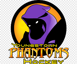 Import the plugin on your stencil.config.ts file and add the inlinesvg function to your plugins list. Youngstown Phantoms United States Hockey League Youngstown Steelhounds Ice Hockey Others Logo Jersey Basketball Uniform Png Pngwing