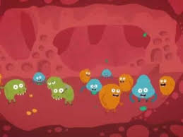 Yasasin Su Okul Oncesi Egitici Cizgi Film Anne Bu Ne Youtube Sarkilar Okul Oncesi Animasyon