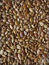 Image result for Faidherbia