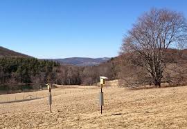 Many native birds are cavity nesters, including bluebirds, wrens, chickadees, woodpeckers this house is for the birds. Bluebird Boxes Be A Good Landlord A Way To Garden