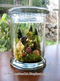 Moss Terrarium Pine Tree Of Life Fern Crystal Mountain Citrine Diamond Amethyst Gemstone Crystal Ter Terrarium Moss Terrarium Succulent Art