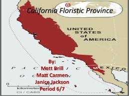 In 1821, the mexican war of independence allowed mexico and california to become independent of spain. Ppt California Floristic Province Powerpoint Presentation Free Download Id 3133717