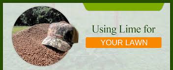 Agricultural limestone or ag lime is a finely granulated calcitic limestone. How When To Apply Lime To Lawn Does My Lawn Need Lime