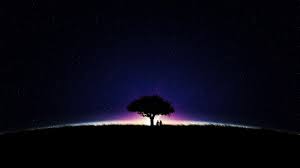 1080p Wallpapers Hd Wallpaper Night Sky Stars Starry Night