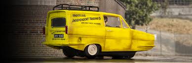 Image result for Jasmine Yellow 1994 Reliant