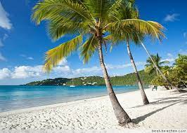 Magens Bay Magens Bay Beach St Thomas Shore Excursions St Thomas Usvi Island Travel