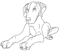 By completing dog coloring pages realistic in design, you'll be helping yourself relax in two ways. Pin By Patricia Kyra Machmud On Hond Dog Coloring Page Cool Coloring Pages Animal Coloring Pages