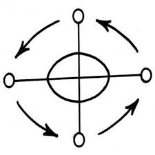 Image result for Coniogramme africana