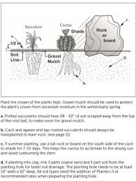 High Country Gardens Planting Guide