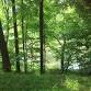 Nature Walk for Kids and Families "Hansel and Gretel"