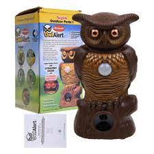 Pest offense is proven effective with testing from a u.s. Owl Alert Motion Activated Security Statue As Seen On Tv With Light Up Eyes Buy At A Low Prices On Joom E Commerce Platform