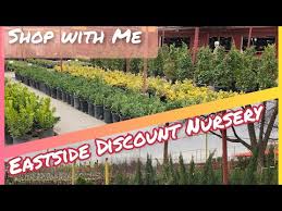 Let angie's floral design & gifts deliver a beautiful surprise for you today!! Angie S Flowers El Paso Promo Code 08 2021