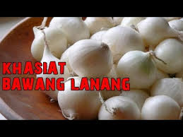 Lalu obat dokter diminum nggak? 300gram Bawang Putih Tunggal New Pgmall