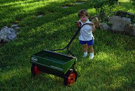 Maybe i will pick one up towards the end of the season to work on over winter. Plantanswers Plant Answers Floratam St Augustine Grass The Best Grass For South And South Central Texas