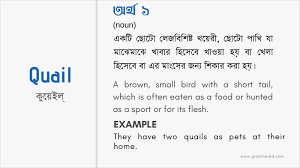 Quail Meaning In Bengali Quail এর ব ল অর থ Grammar Hub