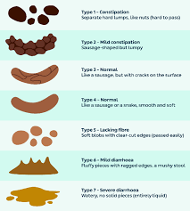 Image result for thin ribbon stools human poop