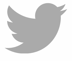Png twitter logo icon twitter transparent logo icon transparent twitter logo icon twitter icon transparent png white white new. Twitter Icon Grey Twitter Logo In Grey Transparent Png Download 220576 Vippng