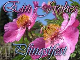 Schone pfingsten bilder kostenlos dragonsmokesailing com. Coolphotos De Grusskarten Feiertage Pfingsten