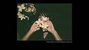 新手入坑三個月後的心得 底片相機的五大優點 文長 大量無後製實拍 mobile01 painting art