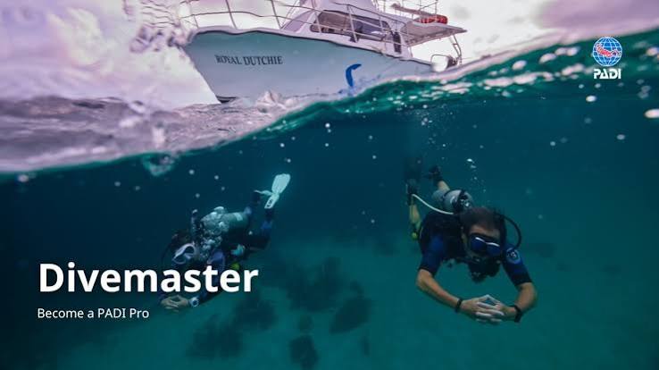 PADI Divemaster Requirements | Prerequisites and Skills
