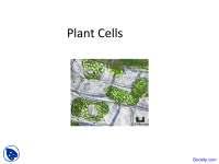Check spelling or type a new query. Plant Cell Walls Consist Mainly Of Docsity