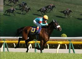 芸能人 競馬予想 ウイニング競馬予想 東スポ 虎石予想 スポニチ 万哲予想 競馬展望プラス 予想 海外競馬 交流g1 予想成績. ç«ä¸‹éŠã®ç«¶é¦¬äºˆæƒ³ãƒ–ãƒ­ã‚°