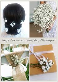 Rustic Babys Breath Wedding Gypsophila Hair Pins White Small Gypsophila Wedding Bridal Headpieces Bridal Hair Pins