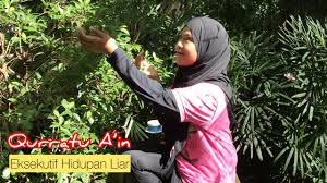 Butterfly and reptile sanctuary address: Butterflyreptile