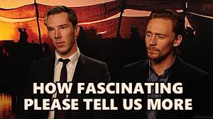 Image result for Tell me more.
