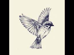كيفية رسم طائر تعلم رسم العصفور how to draw a bird youtube birds tattoo bird drawings sparrow tattoo