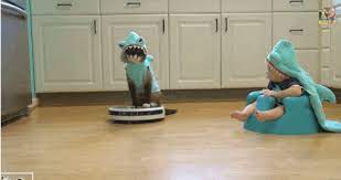 Feeling Calmer By The Minute Funny Cat Videos Funny Cute Cute Animals