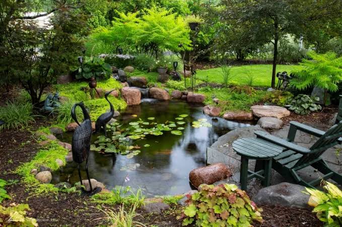7 Tips for Planting Pond Plants Around Your Pond