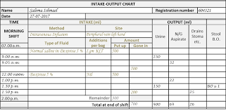 the intake output chart health care service delivery