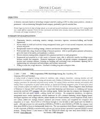 Executive Resume Template Doc Blue 2Pg2 11 Format Sample For Fresh ...