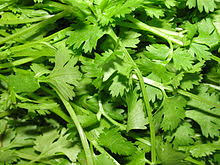 Category:flavored products of all types. Coriander Wikipedia