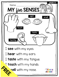 All About My Body And 5 Senses Free Activity Science Unit 1 Keeping My Kiddo Busy Five Senses Kindergarten First Grade Science My Five Senses