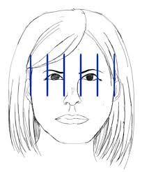 Be sure to lay out the hair in simple shapes first, then you can add tufts and ends. A Detailed Look On The Human Head Face Proportions Sweet Drawing Blog